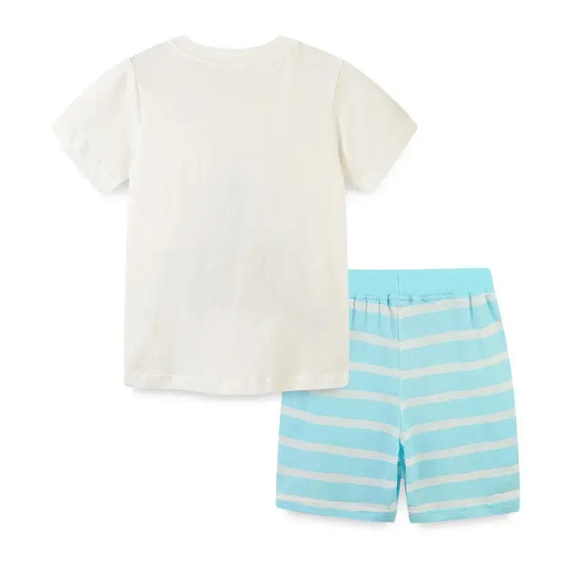 Boys Printed T-Shirt With Shorts Set