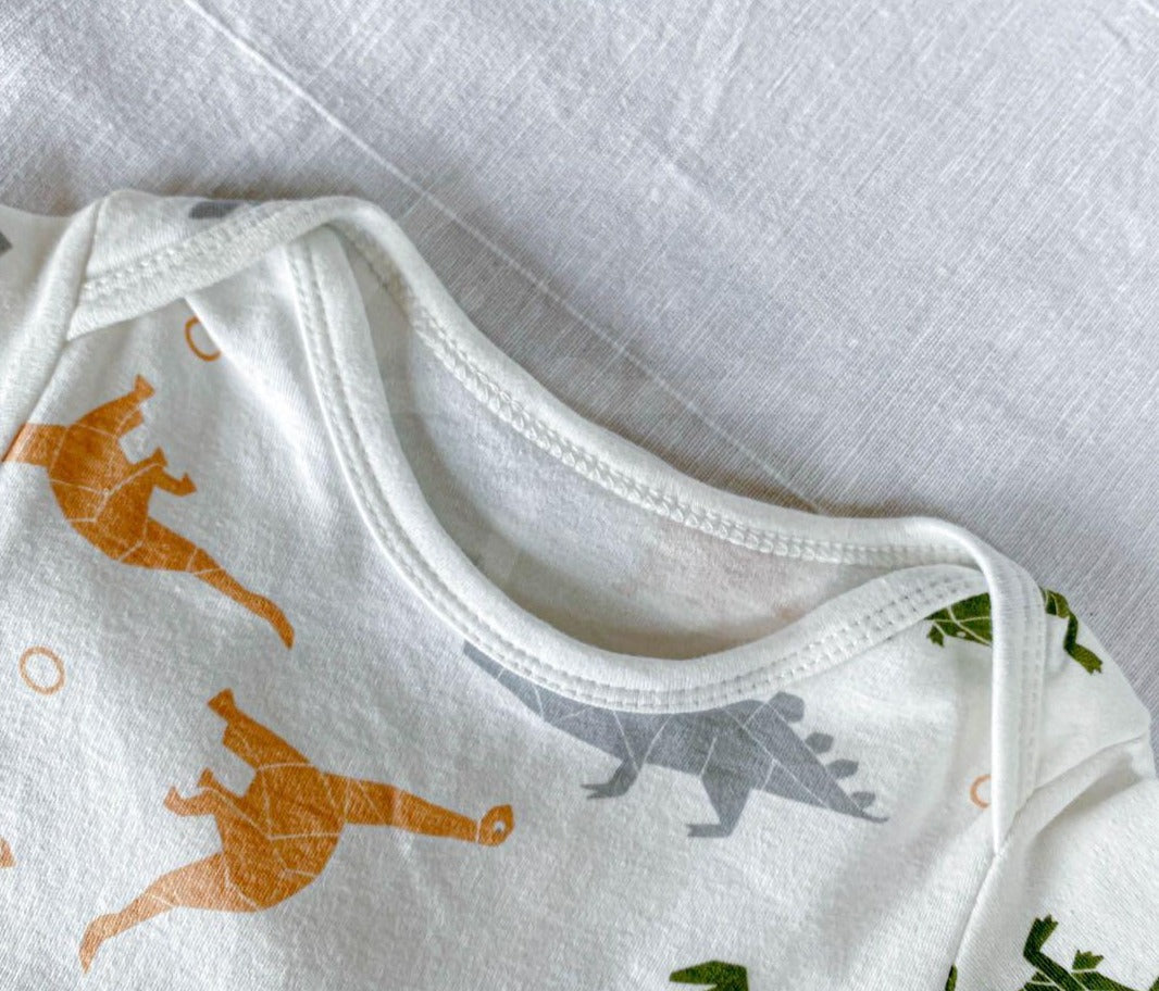 Dino Fun Baby Boy and Girl Romper